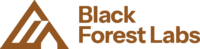 Black Forest Labs